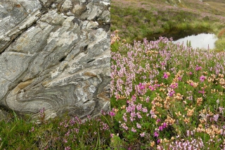 Tolle Landschaften im Norden