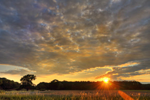 Sonnenuntergang, Juni 2011